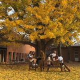 Powhatan School Photo #6