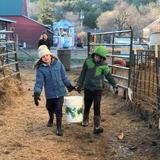 Richmond Waldorf School Photo #5 - Waldorf students go out in the world to experience what they have learned in the classroom. For the third grade class learning about farming, house building, measuring, and weighing to develop and solidify their scientific knowledge, experiential learning means building raised beds, tending to growing plants, and visiting farms.