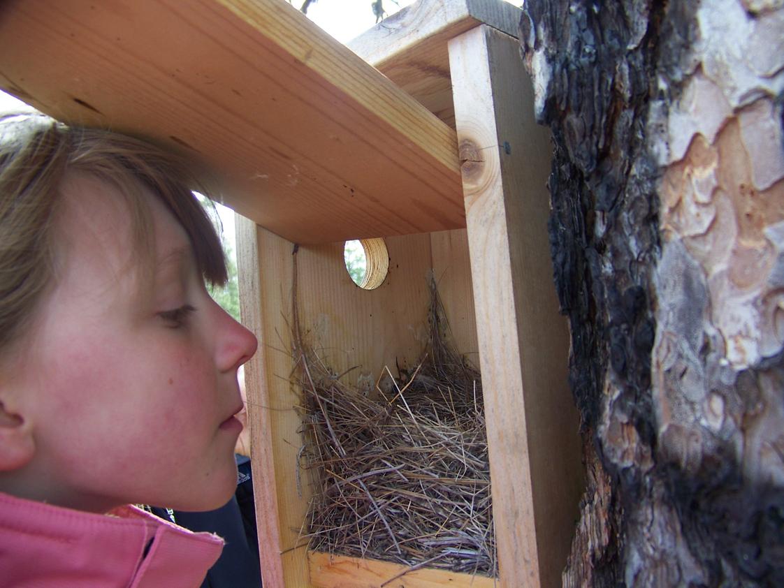 Discovery School Photo #1 - Blue Bird observation at Turnbull Refuge