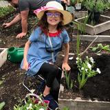 Yellow Wood Academy Photo #7 - One of our elementary school students enjoying our Garden Party where we made tea, wore sun hats, and learned about how to cultivate a garden.