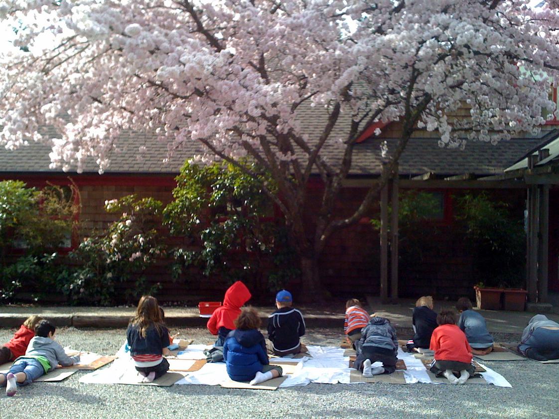 The Island School Photo - Art students draw the cherry tree at our school entrance.