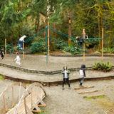 The Island School Photo #3 - Students learn through play on our 5-acre, forested property.