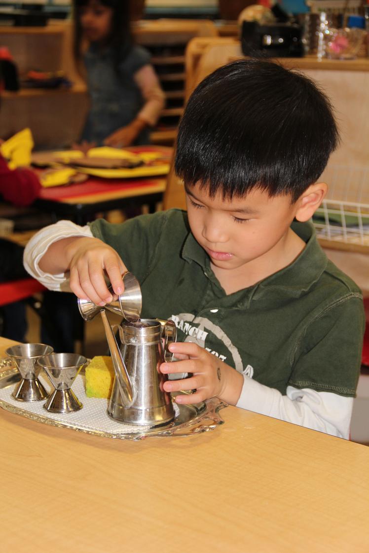The Sammamish Montessori School Photo - Practical life activities such as water pouring hone concentration, develop fine motor skills, and independence.