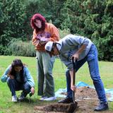 UPrep Photo #10 - Upper School Environmental Science students dig a soil profile in a local park.