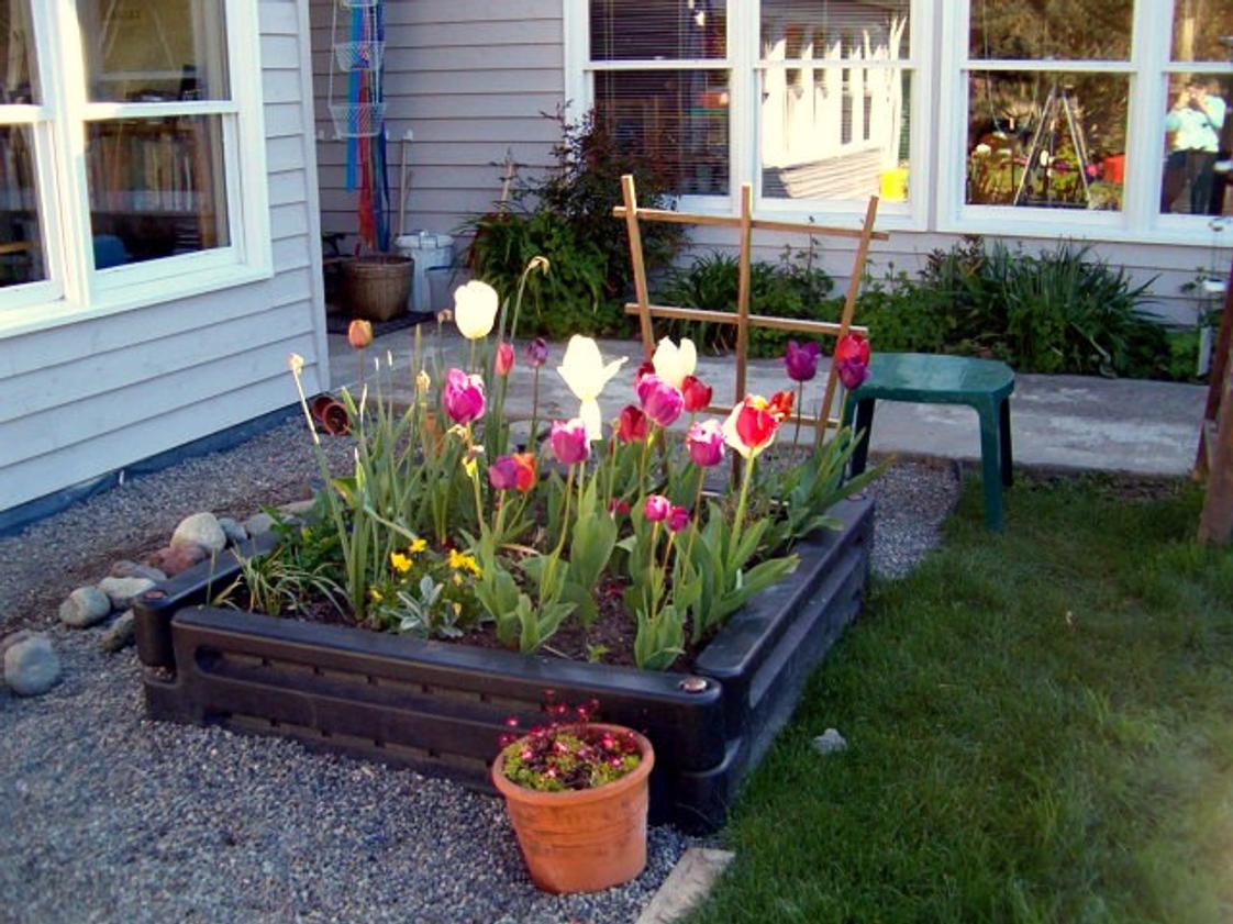 Woodinville Montessori School | Woodinville Campus (Early Childhood only) Photo #6 - One of the gardens on the Woodinville Campus where the Early Childhood (preschool and Kindergarten) children, ages 3-6, enjoy all of the hands-on experiences that gardening provides.