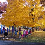 Edgewood Campus School Photo #4 - Our magnificent park-like playground is located on the shores of Lake Wingra.