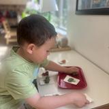 Madison Community Montessori Photo #2