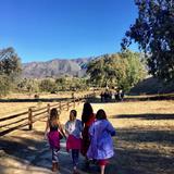 Oak Grove School Photo #4 - Within a safe, supportive, non-competitive environment our elementary students actively wonder, reflect, explore ideas, develop skills, and grow intellectually, socially and emotionally. Above, fourth grade students take a nature walk through the Ojai Valley Land Conservancy Meadow, adjacent to our 150-acre campus.