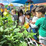 OC Kids Infant & Preschool Photo #11 - Tending our school garden is so much fun! Children enjoy planting, tending, and harvesting from their classroom gardens. Lessons in the garden help us to teach plant life cycles as well as responsibility.