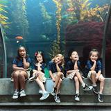 Pearl Preparatory School Photo #1 - Pearl Prep uses a hands-on approach to education. All students go on monthly field trips in coordination with the classroom curriculum.