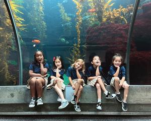 Pearl Preparatory School Photo