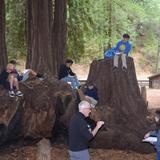 Redwood Christian Elementary School Photo #8 - 6th graders are able to spend time learning outside during Outdoor Ed, which takes place at the beginning of the year. It's also a great time for students to build relationships at the start of their middle school journey.