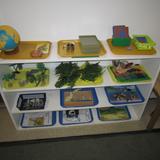 Rising Star Montessori Photo #2 - Cultural Shelf