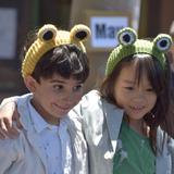 Sequoyah School Photo #18 - K/1 play- Frog and Toad