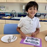 Saint Andrew's Episcopal School Photo #6 - Fifth graders dissect squids as part of their science curriculum.
