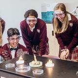 St. Francis High School - Salesian College Preparatory Photo - Experience the biomedical science pathway or computer science in a small, personal learning environment. We have a 12:1 student-teacher ratio and class sizes averaging 20.