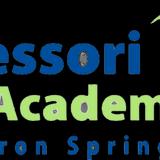 Montessori Academy At Sharon Springs Photo #1