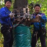 Easton Country Day School Photo #5 - Zip lining field trip