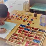 Peppertree Montessori Photo #2 - Peppertree students meet or exceed state standards.