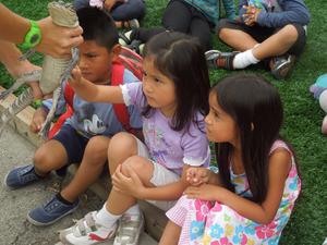 California Wiz Kids Photo