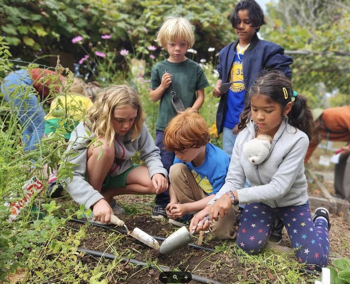 Crestmont School Photo #7 - Students working in Crestmont's garden. Crestmont School Photo #7 - Students working in Crestmont's garden.