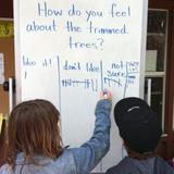 Crestmont School Photo #6 - Students were given an opportunity to express their collective outrage after the trees were trimmed at Crestmont.