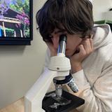 The Springstone School Photo #11 - Student scientist!