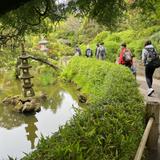 The Springstone School Photo #3 - Walking through the San Francisco Japanese Garden.