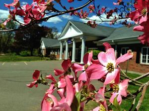 Madina Academy Photo
