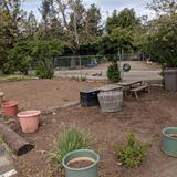 Old Adobe School Photo #4 - Our garden beds