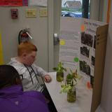 Highland Academy Photo #4 - Science fair fun!