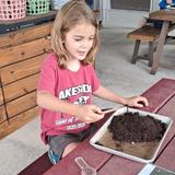 Lakeside Christian School Photo #20 - Kindergarten field trip to Fat Beet Farm