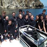 St. Monica Academy Photo #7 - One of the highlights of our science curriculum is an annual field trip to Catalina Island, where biology students observe marine life while snorkeling with an expert guide.