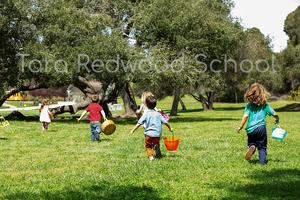Tara Redwood School Photo
