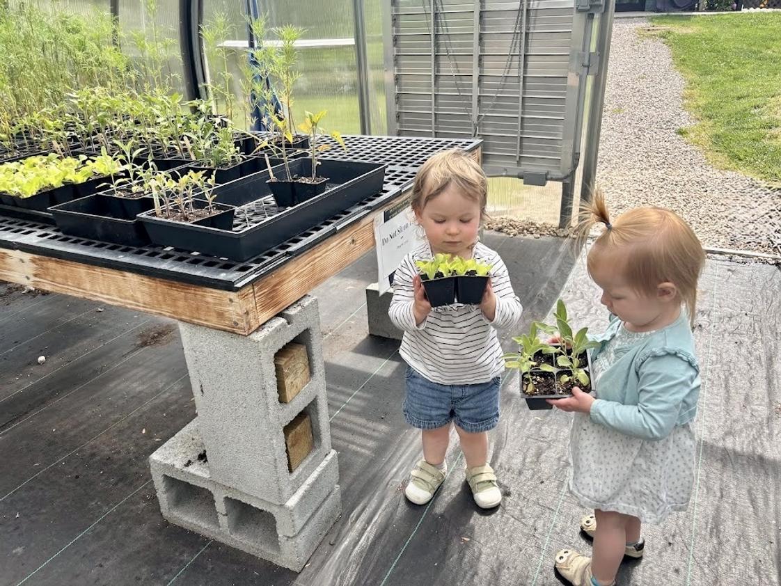 Quest Montessori School Photo #1 - Toddlers visit the community greenhouse to choose plants for their classrooms spring garden.
