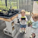 Quest Montessori School Photo #1 - Toddlers visit the community greenhouse to choose plants for their classrooms spring garden.