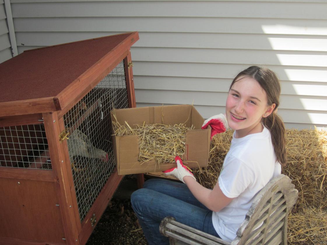 Prairie Flower Montessori School Photo #1 - Part of the Montessori curriculum is the study and care of plants and animal that are outside, as well as inside, our classrooms. An alumna cares for the chickens that reside in a coop in our outdoor environment.