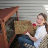 Prairie Flower Montessori School Photo - Part of the Montessori curriculum is the study and care of plants and animal that are outside, as well as inside, our classrooms. An alumna cares for the chickens that reside in a coop in our outdoor environment.