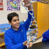The Hillside School Photo #20 - DNA Sequencing in Physical Science