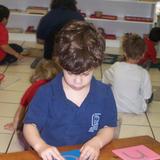 Montessori Academy Of Tampa Bay Photo #4