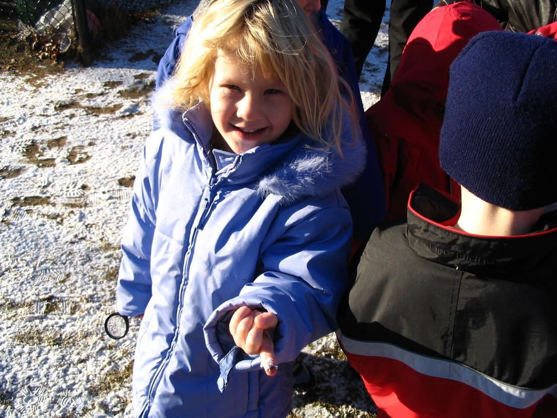 Hands-on Montessori School Photo - Capturing snowflakes!