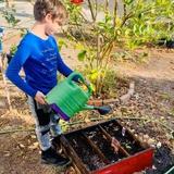 Valley Waldorf City School Photo #4 - Gardening in third grade