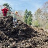 Apple Orchard School Photo #14 - At Apple Orchard School in Brookline learners leap from piles of dirt.