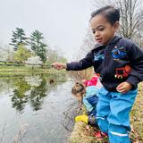 Apple Orchard School Photo #19 - At Apple Orchard School in Brookline, students explore our pond's edges.