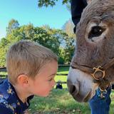 Apple Orchard School Photo #9