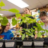 Emerson School Photo #6 - Curiosity at the core: Emerson students explore the natural world through inquiry and discovery, developing the critical thinking skills that fuel a lifelong love of learning.