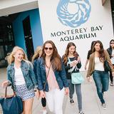 Santa Catalina School Photo #7 - Boarding and day students alike love to spend time in Monterey and Carmel. We're lucky to live in such a beautiful place!