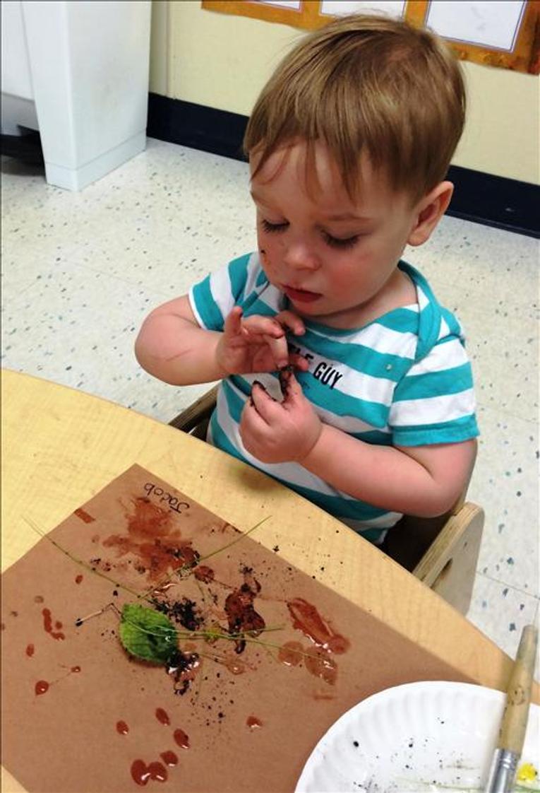 Hoffman Estates KinderCare Photo - Exploring nature in the Toddler class.
