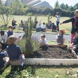 Christ Covenant School Photo #2 - Students spend time in the school garden planting, cultivating and harvesting fruits, vegetables and flowers.