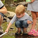 Centreville Layton School Photo - On campus Habitat offering native plant life to study.